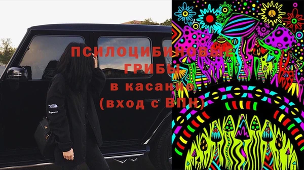 метадон Гусь-Хрустальный