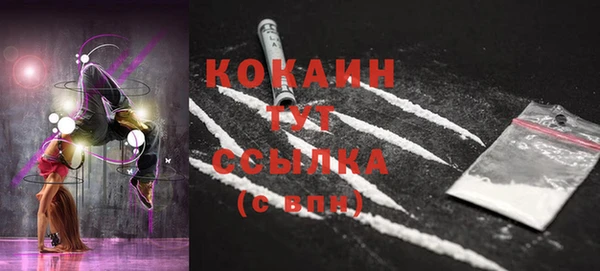 ALPHA-PVP Гусев